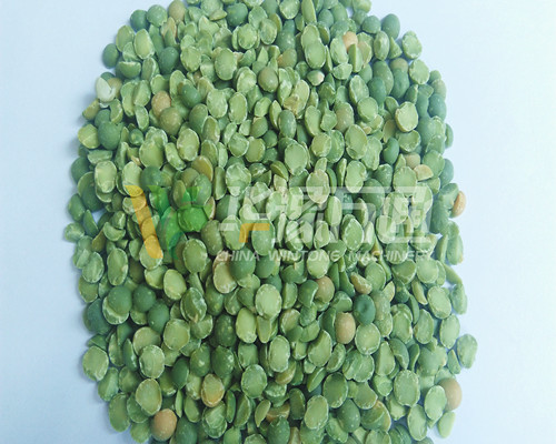 <a href=http://www.cksalon.com/product/8/ target=_blank class=infotextkey>豌豆脫皮機</a>